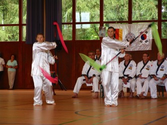 Tang Soo Do IDM 2011