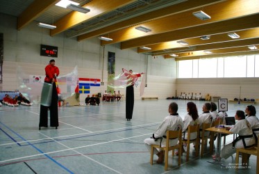 Tang Soo Do IDM 2014      Foto: Immanuel Schade