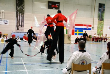 Tang Soo Do IDM 2014      Foto: Immanuel Schade
