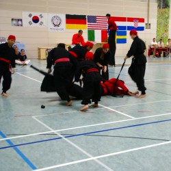 Tang Soo Do IDM 2014      Foto: Immanuel Schade