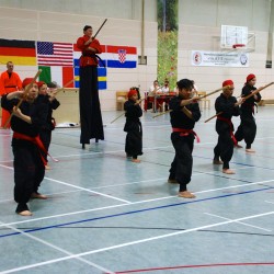 Tang Soo Do IDM 2014      Foto: Immanuel Schade