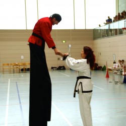 Tang Soo Do IDM 2014      Foto: Immanuel Schade