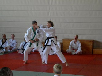 Tang Soo Do Vorführung beim Jubiläum 30 Jahre Judo Neufahrn 2010