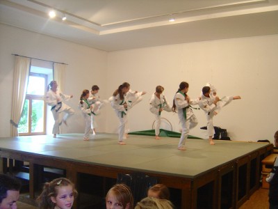 Tang Soo Do Vorführung beim Jubiläum 5 Jahre Judo Kranzberg 2009